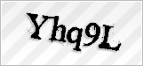 CAPTCHA security code