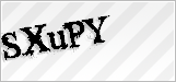 CAPTCHA security code