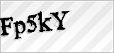 CAPTCHA security code
