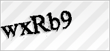 CAPTCHA security code