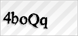 CAPTCHA security code