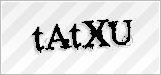 CAPTCHA security code