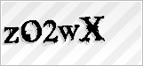 CAPTCHA security code