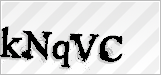 CAPTCHA security code