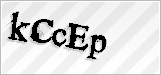 CAPTCHA security code
