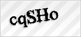 CAPTCHA security code
