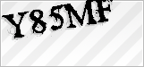 CAPTCHA security code