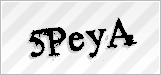 CAPTCHA security code