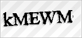 CAPTCHA security code