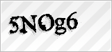 CAPTCHA security code