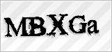 CAPTCHA security code