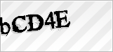 CAPTCHA security code