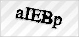 CAPTCHA security code