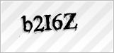 CAPTCHA security code