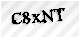 CAPTCHA security code