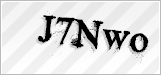 CAPTCHA security code