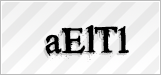 CAPTCHA security code