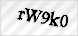 CAPTCHA security code