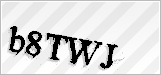 CAPTCHA security code