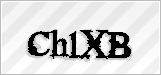 CAPTCHA security code