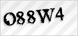 CAPTCHA security code