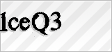 CAPTCHA security code