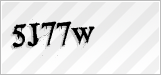 CAPTCHA security code