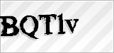 CAPTCHA security code