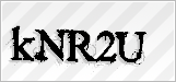 CAPTCHA security code