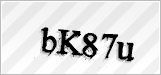 CAPTCHA security code