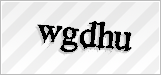 CAPTCHA security code