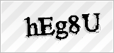 CAPTCHA security code