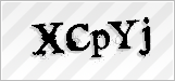 CAPTCHA security code