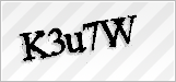 CAPTCHA security code