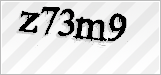 CAPTCHA security code