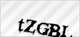 CAPTCHA security code