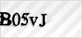 CAPTCHA security code