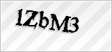 CAPTCHA security code