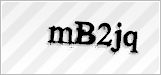 CAPTCHA security code