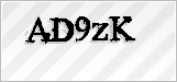 CAPTCHA security code