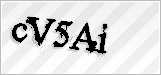 CAPTCHA security code