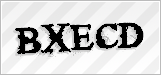 CAPTCHA security code