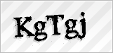 CAPTCHA security code