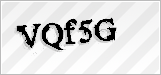 CAPTCHA security code