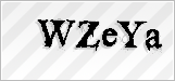 CAPTCHA security code