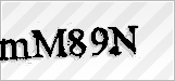 CAPTCHA security code