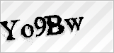 CAPTCHA security code