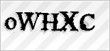 CAPTCHA security code