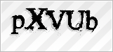 CAPTCHA security code