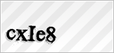 CAPTCHA security code